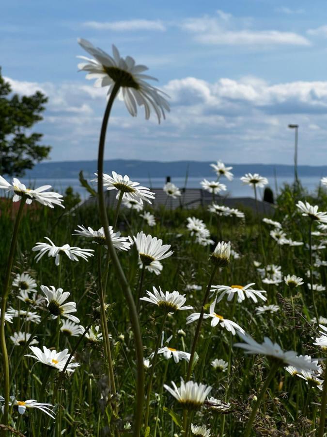 Vaettervy Glamping Hotell Habo Eksteriør bilde