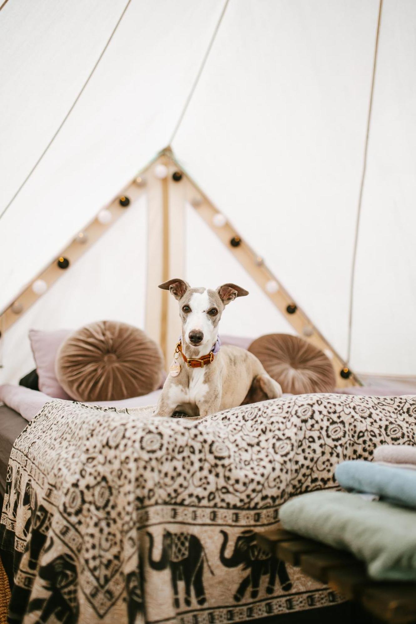 Vaettervy Glamping Hotell Habo Eksteriør bilde